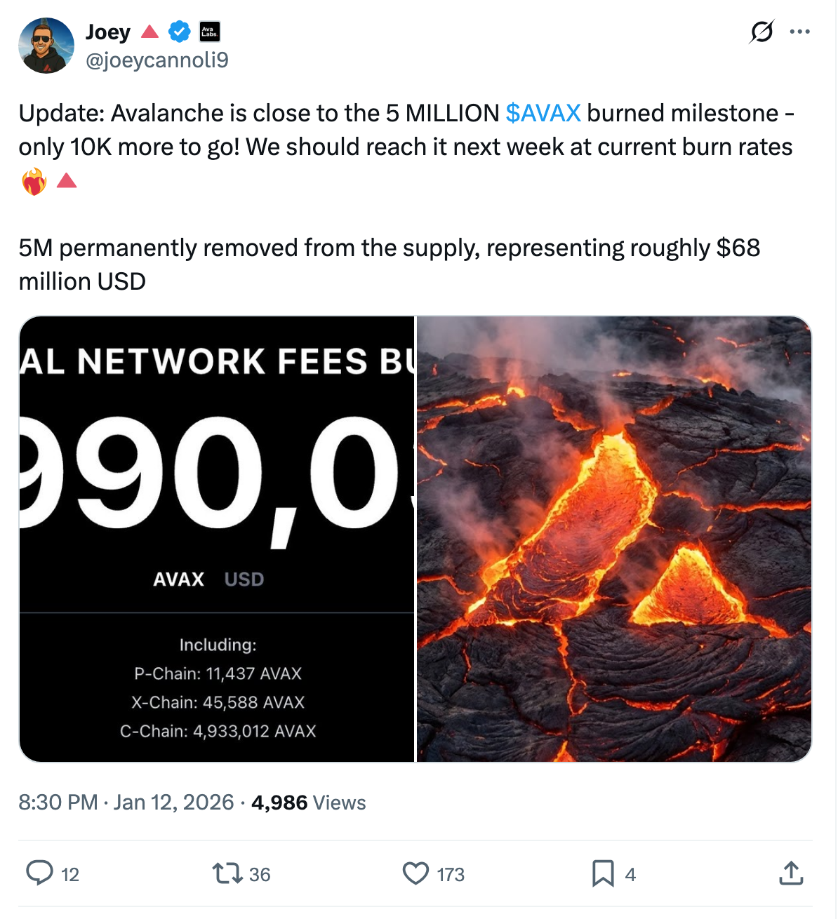 AVAX burn rate | Source: X