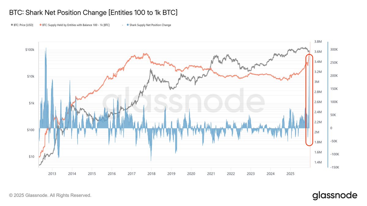 Crypto News & Insights | Bitcoin News | KuCoin