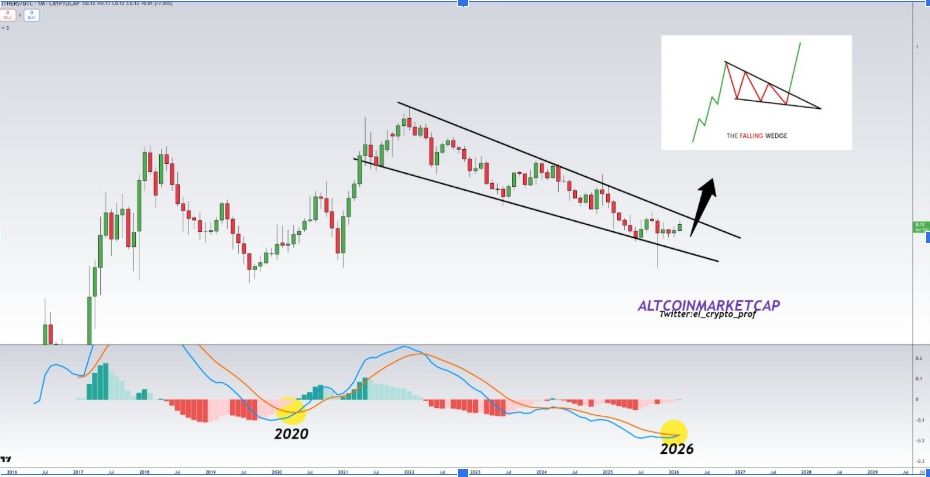 OTHERS/BTC Monthly Chart | Source: Elcryptoprof, X