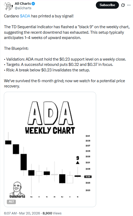 Cardano Price Buy Signal Prediction | Source: Ali Martinez