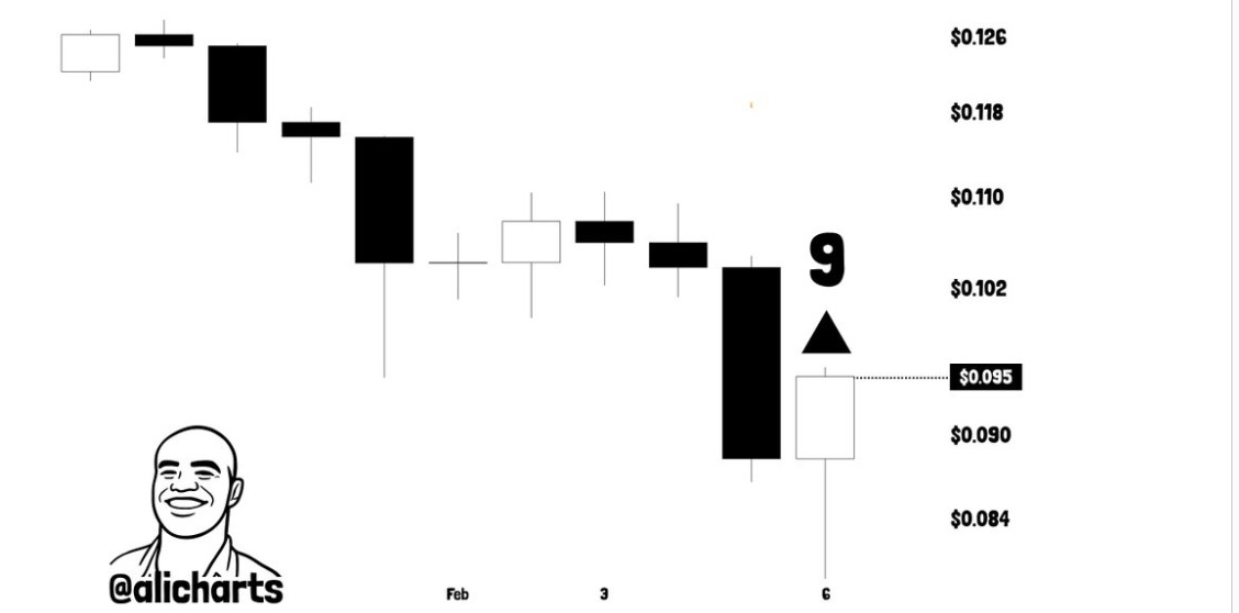 Gráfico Diário DOGE | Fonte: Ali, X