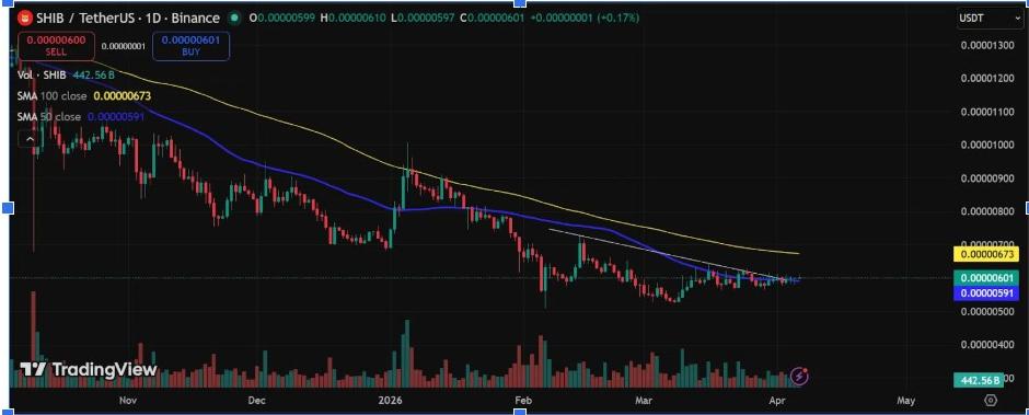 Дневной график SHIBUSDT | Источник: TradingView