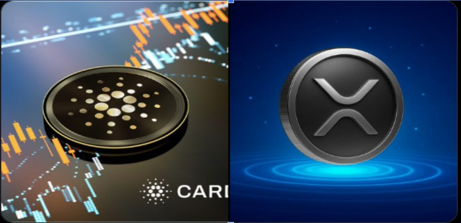 Cardano XRP | Джерело: <a href=