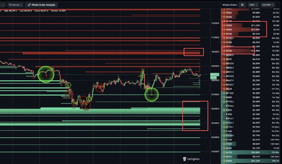 Aktibidad ng Bitcoin Whale | Source: Coinglass Data