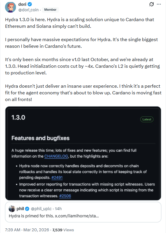 Cardano Hydra Upgrade | Source: dori