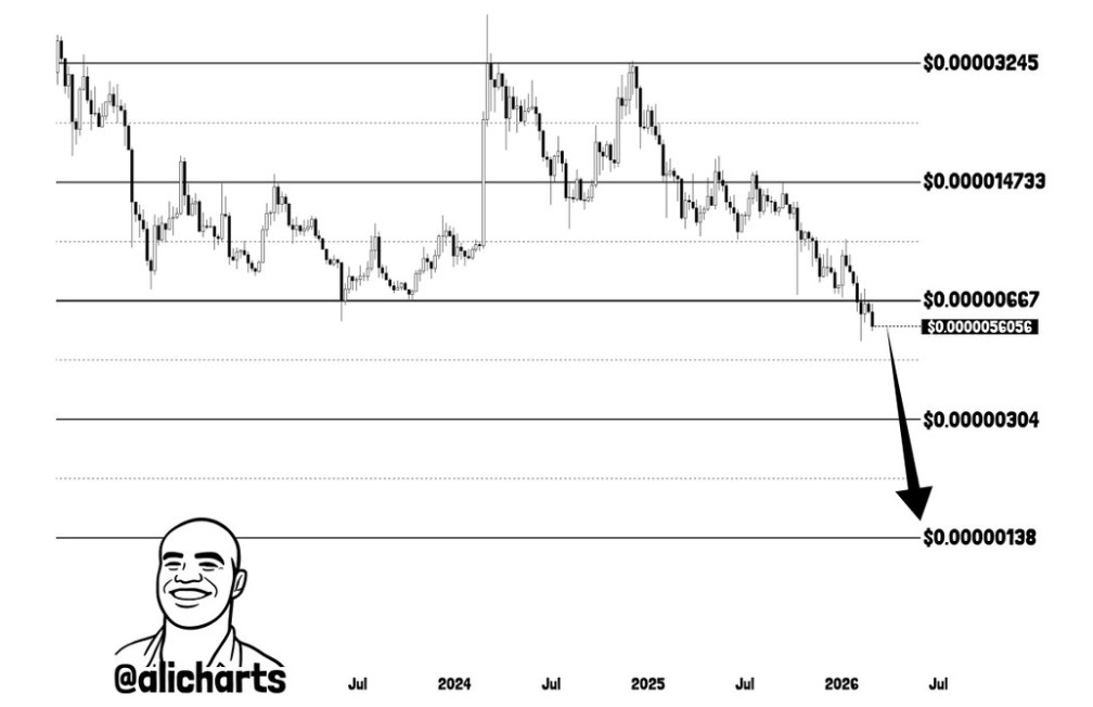 SHIB Weekly Chart | Source: Ali, X