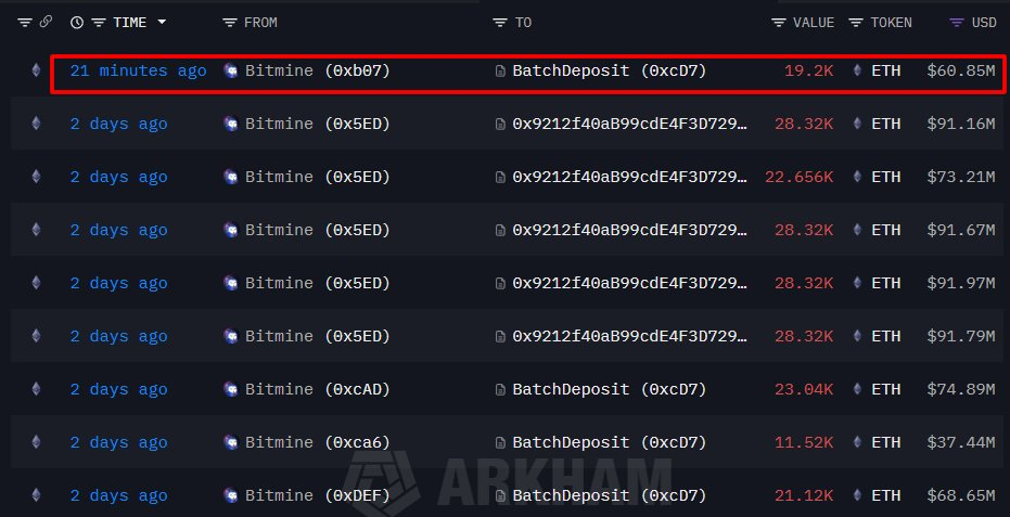 Dados de staking do BitMine: Arkham