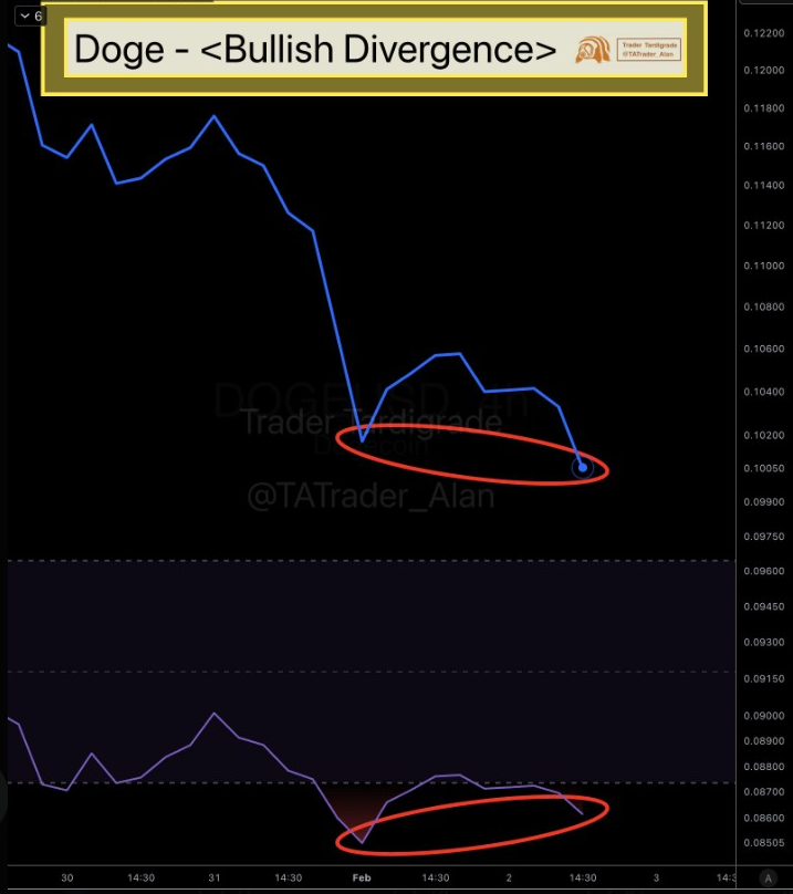 Gráfico Dogecoin 4H | Fonte: Tardigade, X