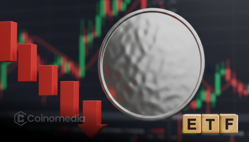 Ликвидность ETF остается слабой, несмотря на краткосрочные притоки средств