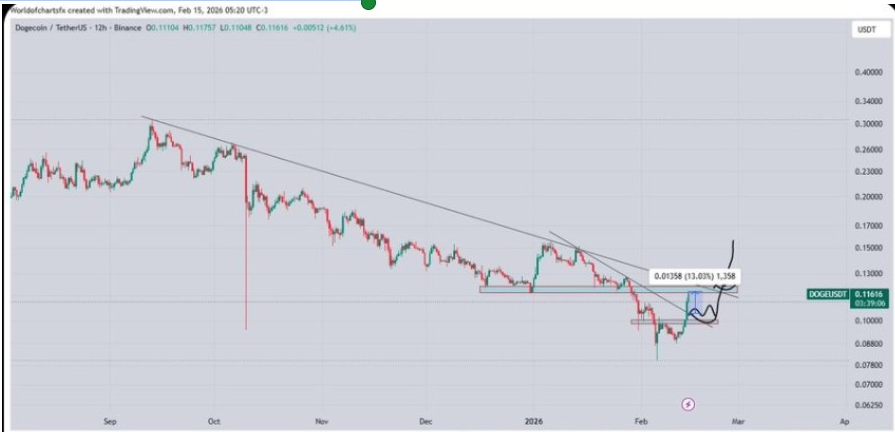 DOGEUSD 12-Hr Chart | Source: X