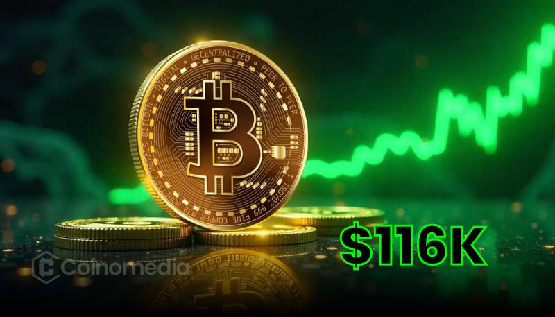 Bitcoin Whales Resume Massive Accumulation