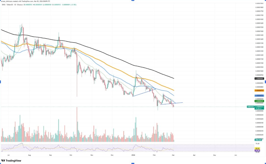 SHIBUSD 1-Day Chart | Source: TradingView