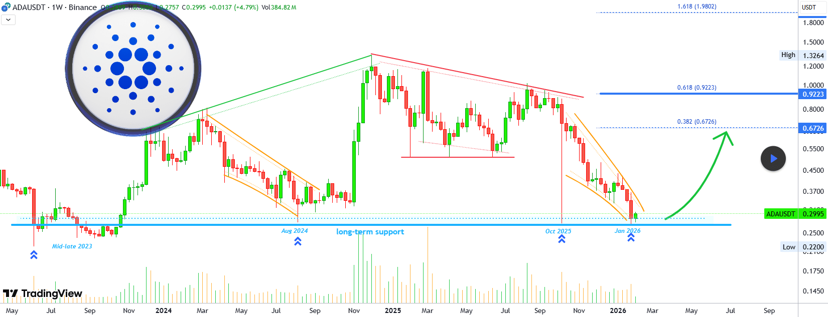 Suporte a Cardano/MestreAnanda