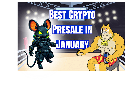 Best Crypto Presale in January: Maxi Doge and Zephyr Stand Out, but DeepSnitch AI Is the Clear Leader if You Aim for 100x Returns