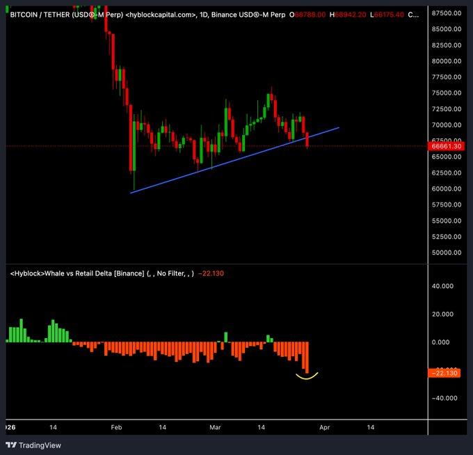 Midnight (NIGHT) متاحة الآن على KuCoin! >>> تداول SOCAIL
